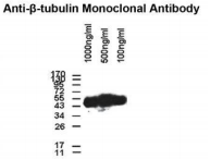 5f6180a9b2a96.png image.png