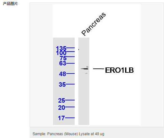 6051c02b1dd07.png image.png