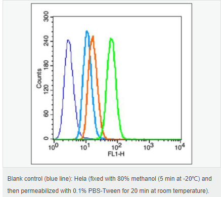 60580624b9ee8.png image.png