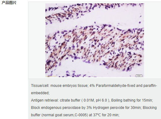 605837b60d333.png image.png