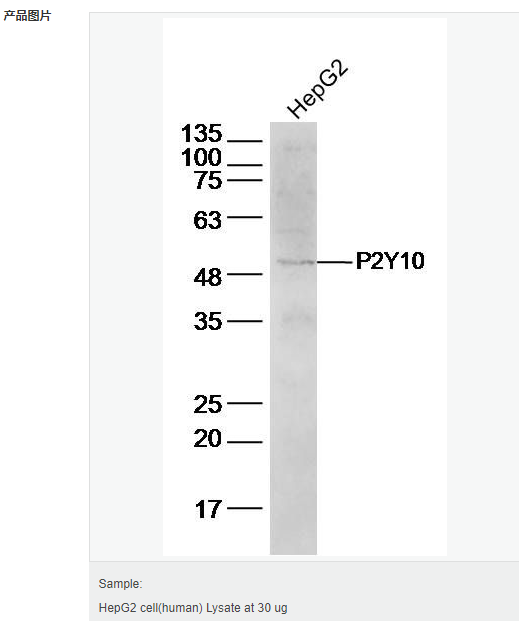 605852707e7e7.png image.png