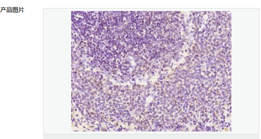 605852ba1e5f8.png image.png