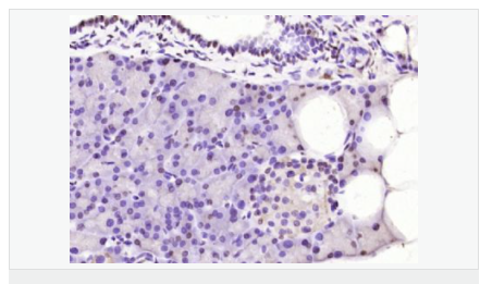 605c40cac0174.png image.png