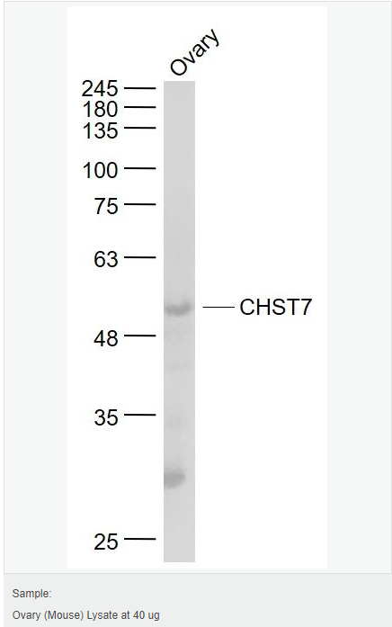 605d89969dc03.png image.png