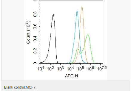 60657c177800a.png image.png