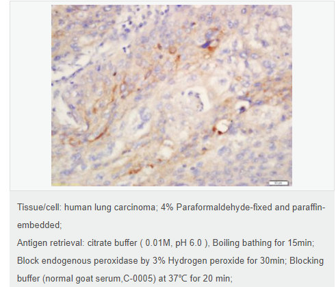 60767e34e436b.png image.png