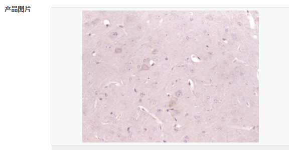 607795861dbbd.png image.png