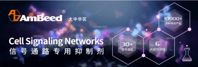 66cc11bd7fdf1.png image.png