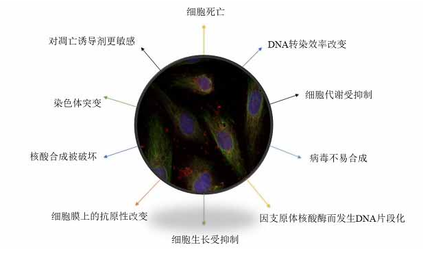 68ea0b9d8a7f8.png image.png