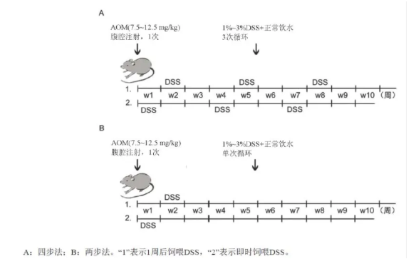 6960ae4de331f.png image.png